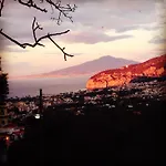 L' Arancio In Fiore
