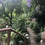 L' Arancio In Fiore 4* Sant'Agnello