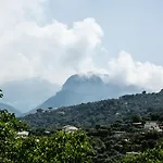 L' Arancio In Fiore Sant'Agnello