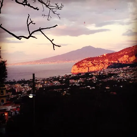 L' Arancio In Fiore