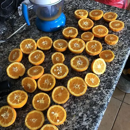 L' Arancio In Fiore