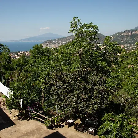 L' Arancio In Fiore Bed and Breakfast