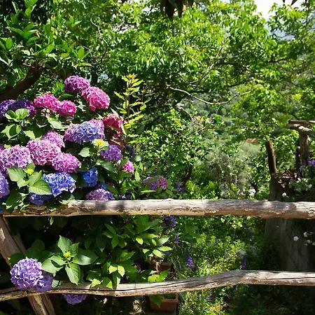 L' Arancio In Fiore Bed and Breakfast