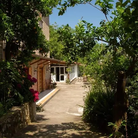 L Arancio In Fiore Bad&Breakfast * Sant'Agnello
