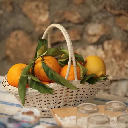 Bed & Breakfast L' Arancio In Fiore