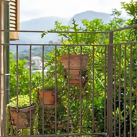 L' Arancio In Fiore 4* Sant'Agnello