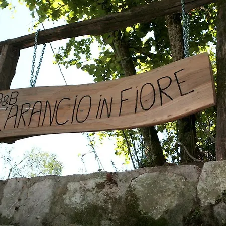 Bed & Breakfast L Arancio In Fiore Bad&Breakfast *