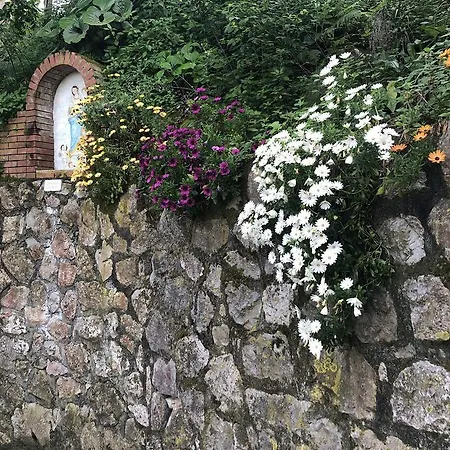 L Arancio In Fiore Bad&Breakfast Sant'Agnello