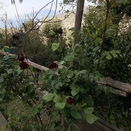 Bed & Breakfast L Arancio In Fiore Bad&Breakfast *
