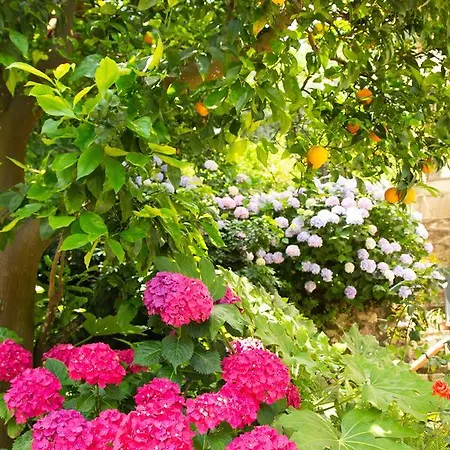 L Arancio In Fiore Bad&Breakfast Bed & Breakfast Sant'Agnello