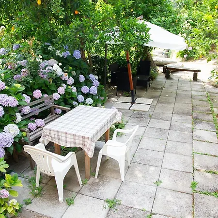 L Arancio In Fiore Bad&Breakfast