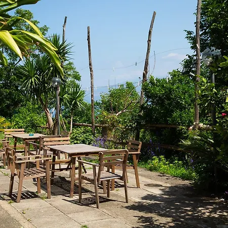 L Arancio In Fiore Bad&Breakfast * Sant'Agnello