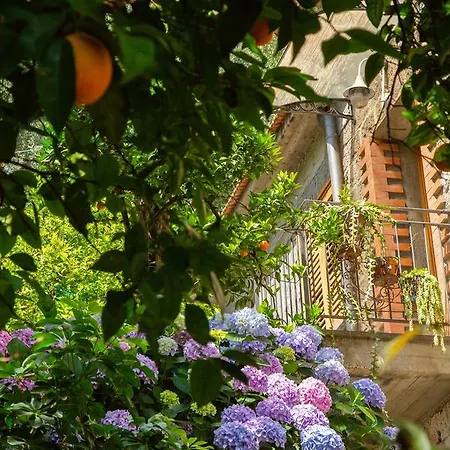 L Arancio In Fiore Bad&Breakfast * Sant'Agnello