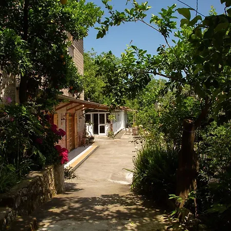 L Arancio In Fiore Bad&Breakfast Sant'Agnello