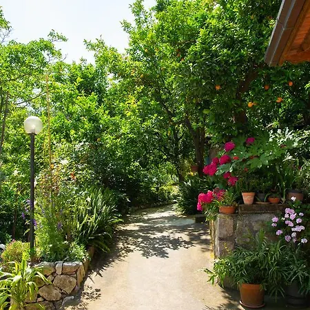 Bed & Breakfast L Arancio In Fiore Bad&Breakfast Sant'Agnello