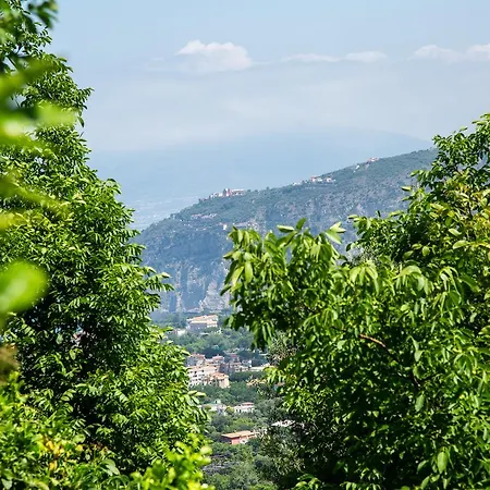 L Arancio In Fiore Bad&Breakfast Sant'Agnello
