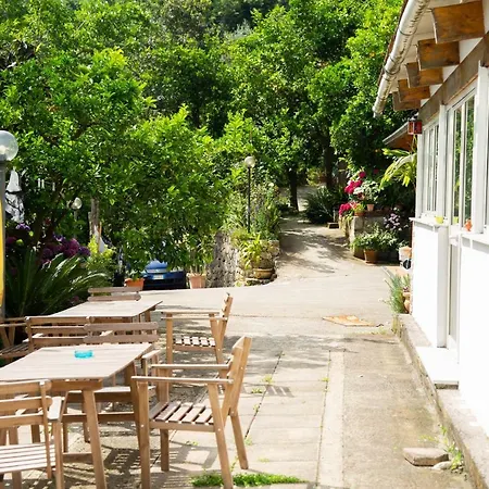 Bed & Breakfast L Arancio In Fiore Bad&Breakfast Sant'Agnello