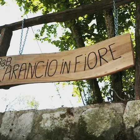L Arancio In Fiore Bad&Breakfast Sant'Agnello