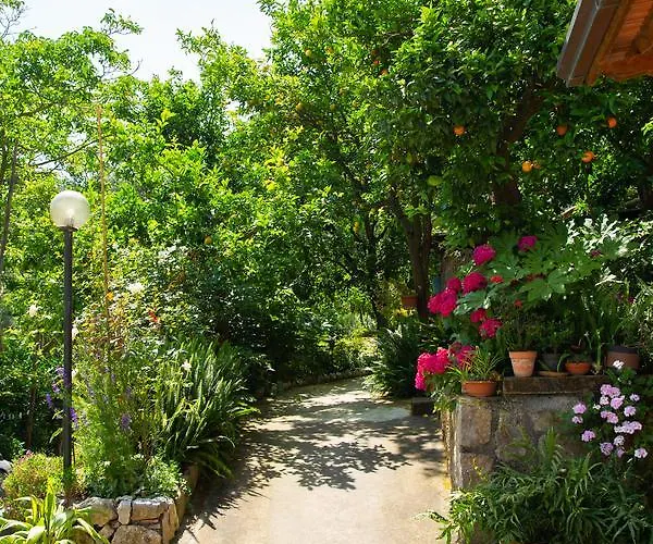 فندق مبيت وإفطار L' Arancio In Fiore سانتّانييلّو