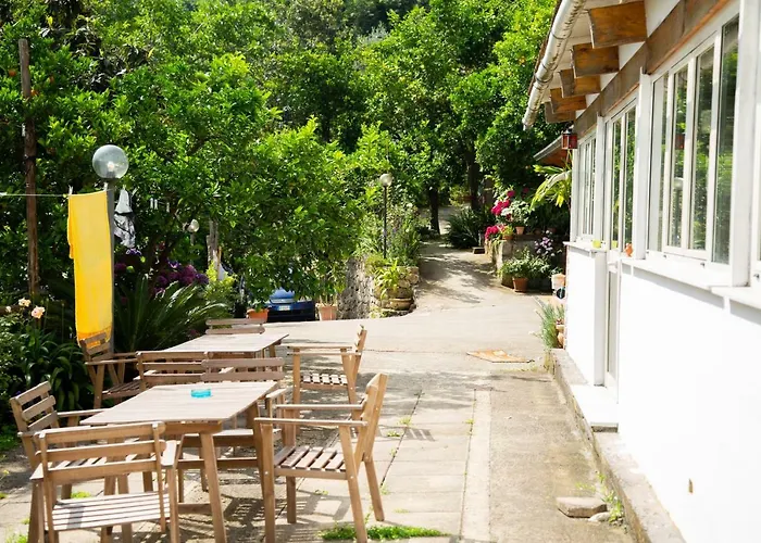 فندق مبيت وإفطار L' Arancio In Fiore سانتّانييلّو